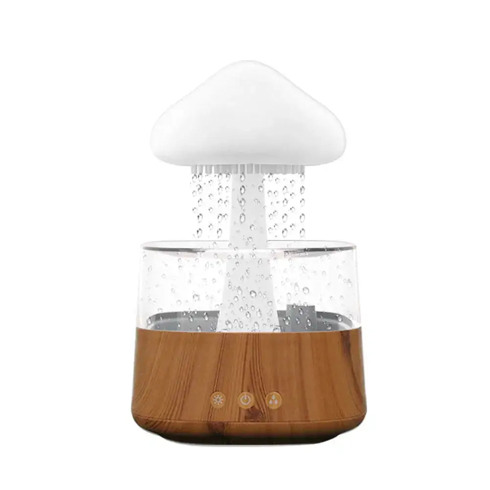 RainCloud™ Mist Humidifier - YourWonderVault